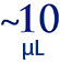 ゲル10-logo