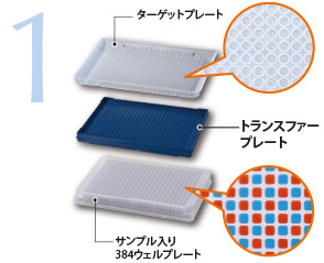 トランスファープレートを挟みます