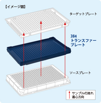 トランスファープレートを通してターゲットプレートにサンプルを移動